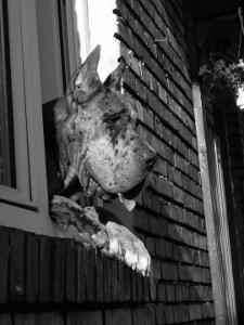 WINTER DREAM Akwaforta