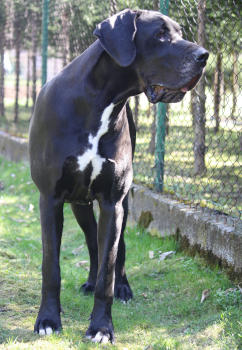 ANISA Wiśniowe Ranczo